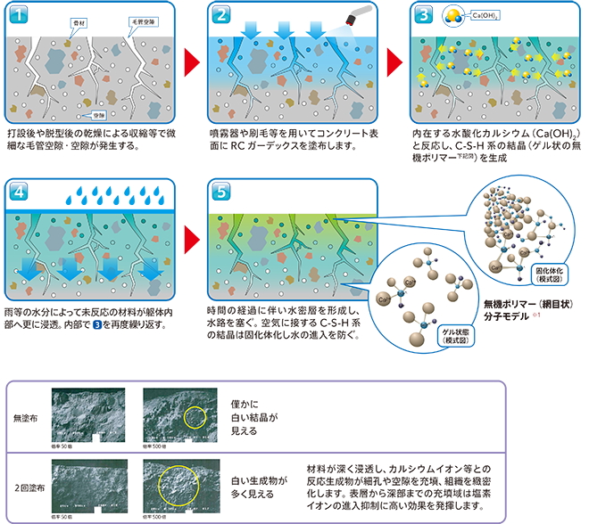RCガーデックス（コンクリート改質材）の基本効果